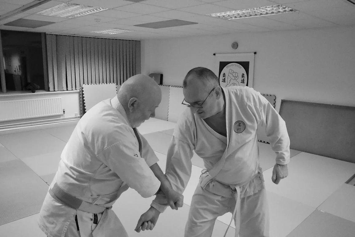 09dcf9_5b08ef684c5c4d82a2ebb24c4e329037~mv2